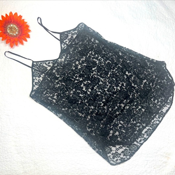 Alexandra Nicole Other - VTG Alexandra Nicole Sheer Black Lace Mini Slip Dress MIU; Sz XL
